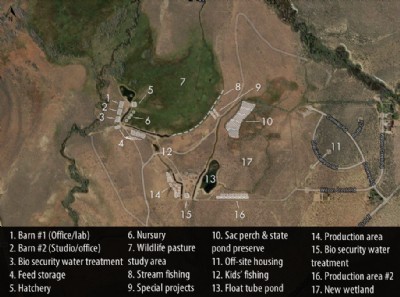 Aquaculture Production