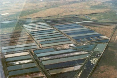 Chico Game Fish Farm Chico Game Fish Farm
