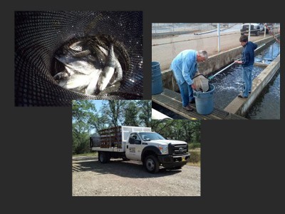 Fisheries Research