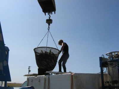 High Desert Geothermal Project