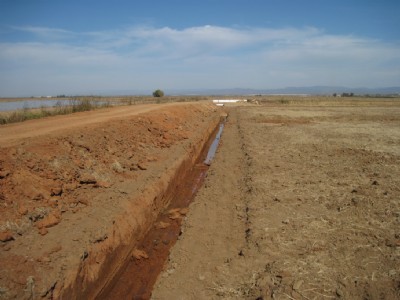 Project Tracking and Assistance Project Tracking and Assistance